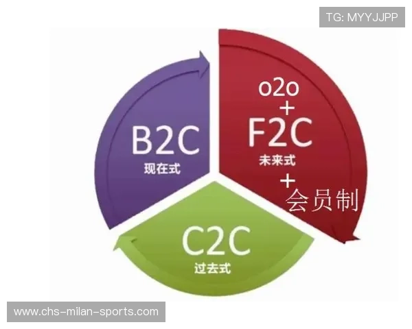 付费模式：会员制与道具经济对平台收入结构的影响，付费会员制电商平台有哪些